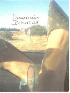 Disappearing Bakersfield (2012)