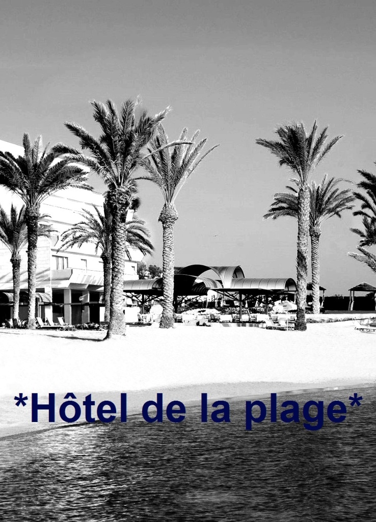 Hôtel de la plage (2014)