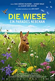 Die Wiese (2019)