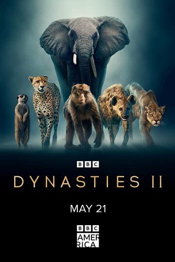 Dynasties II (2022)