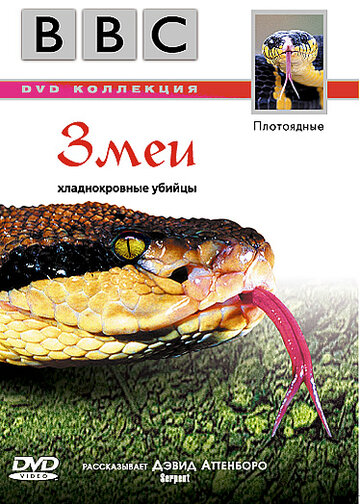 BBC: Змеи (2003)